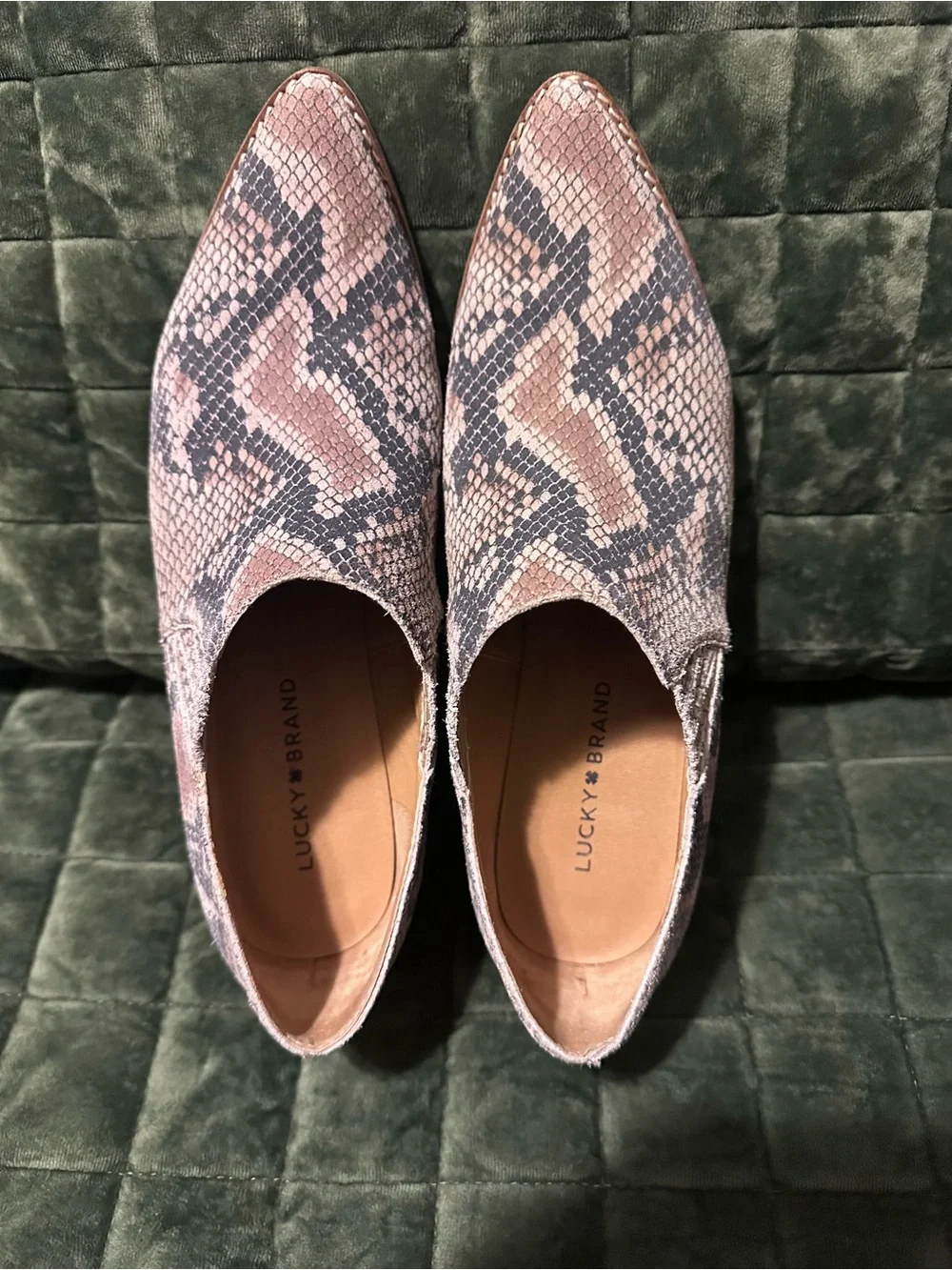 Lucky Brand Pointed Snake-Print Ankle Booties in Taupe and Black